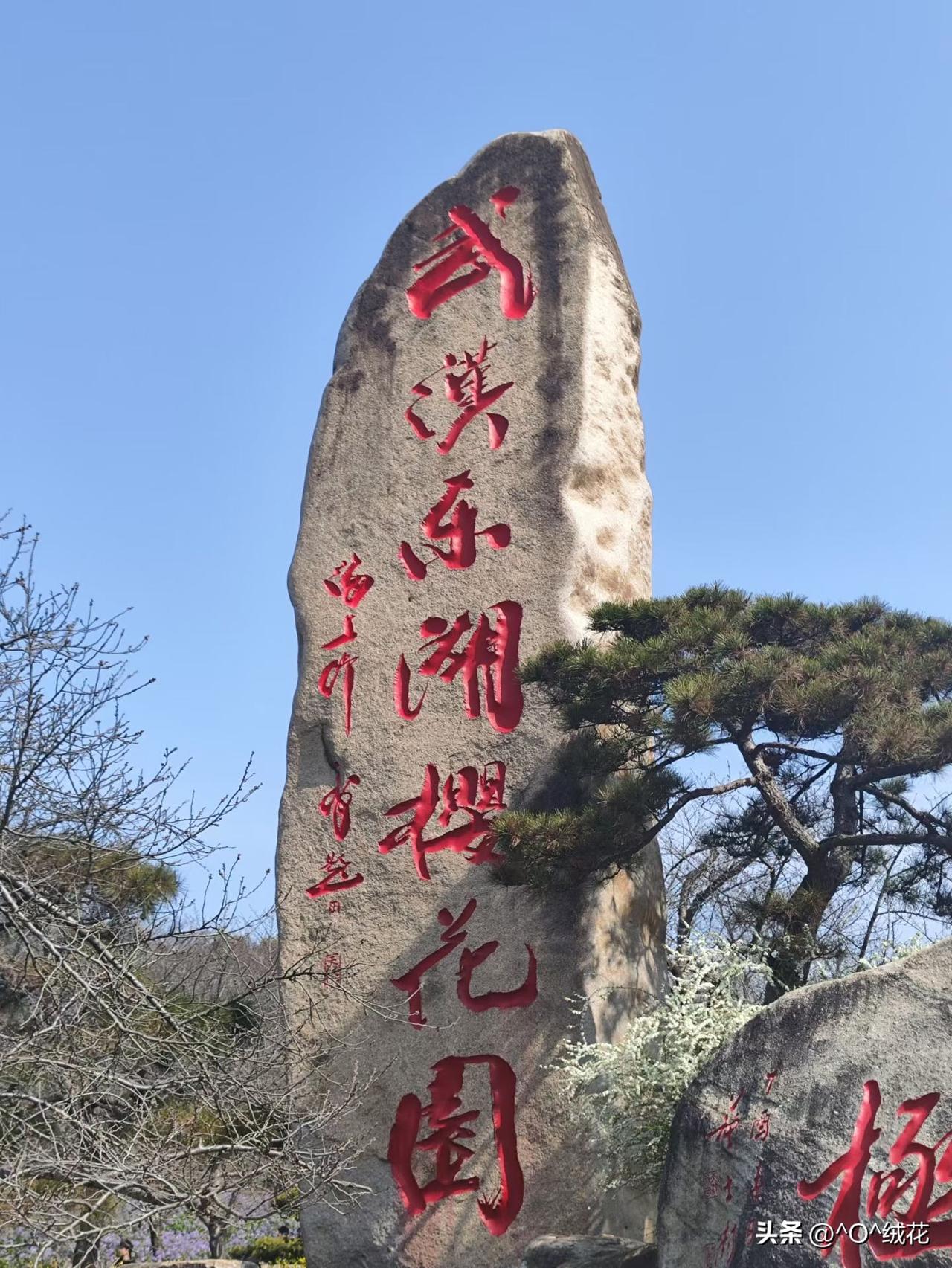 武汉东湖樱花园真的是宝藏打卡地！它和日本弘前樱花园、美国华盛顿樱花园并称世界三大