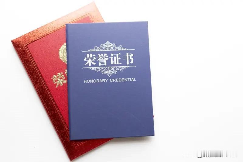 这些荣誉是典型的“精神激励”，对普通创作者来说，它的情绪价值远大于实际收益。
荣