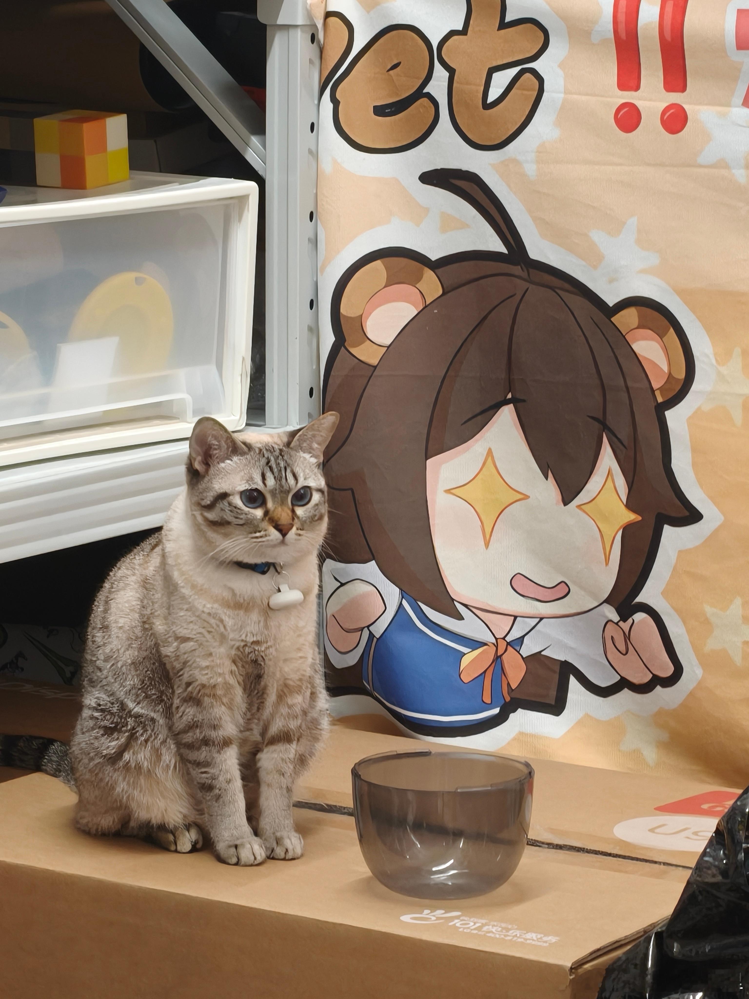 rengo：人！咪都这样暗示了，还不放猫粮吗