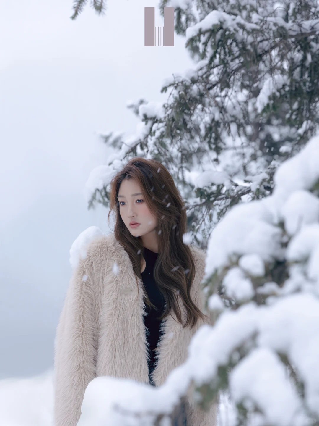 和你预定长春第一场雪❄️美到尖叫