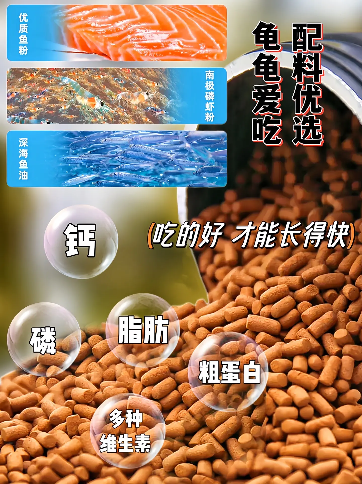 龟龟一直长不大，怎么办？快试试这个乌龟粮，它里面添加了乌龟生长所需的多...