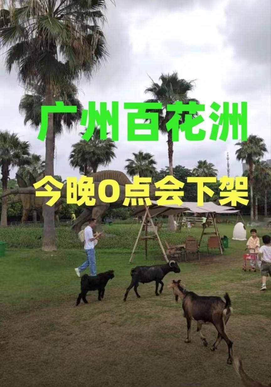 广州百花洲不见不散的美景 推荐官游记 旅游 强烈推荐 旅行