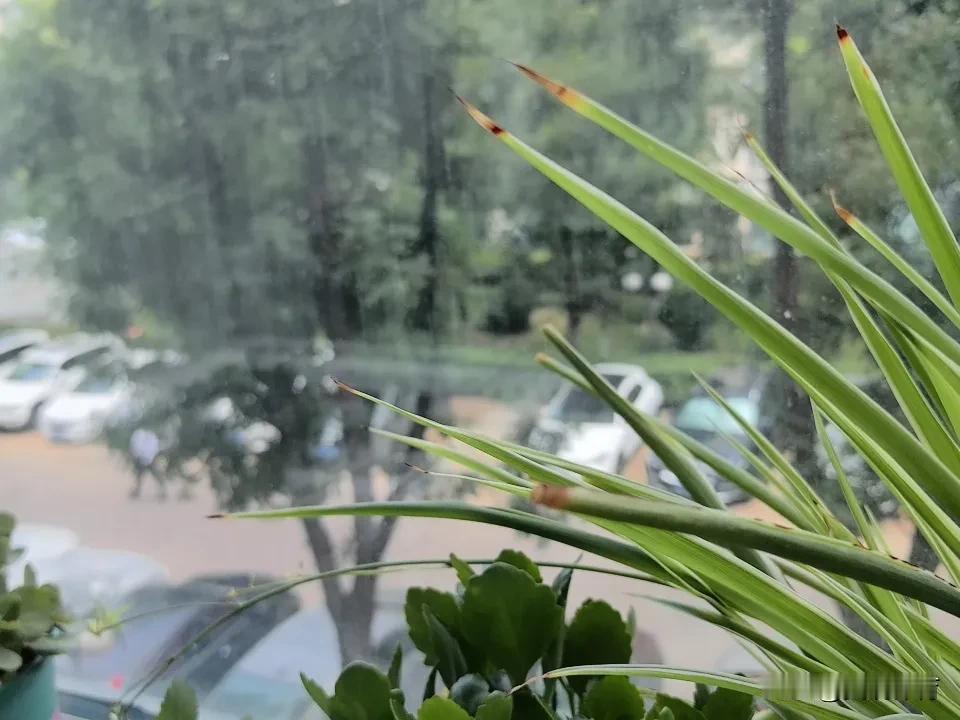 天气炎热，小区里车位满满当当，走动的人也都比平时少了不少。