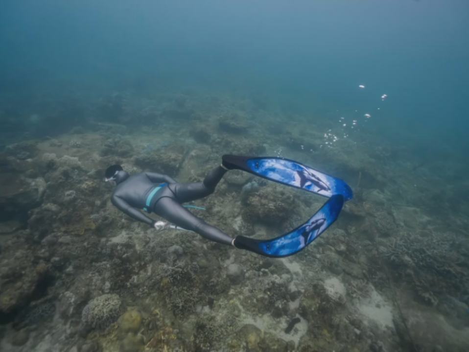 黄景瑜︱第一次潜水︱截修动图20200606潜水教练发的vlog一些喜欢的镜头美