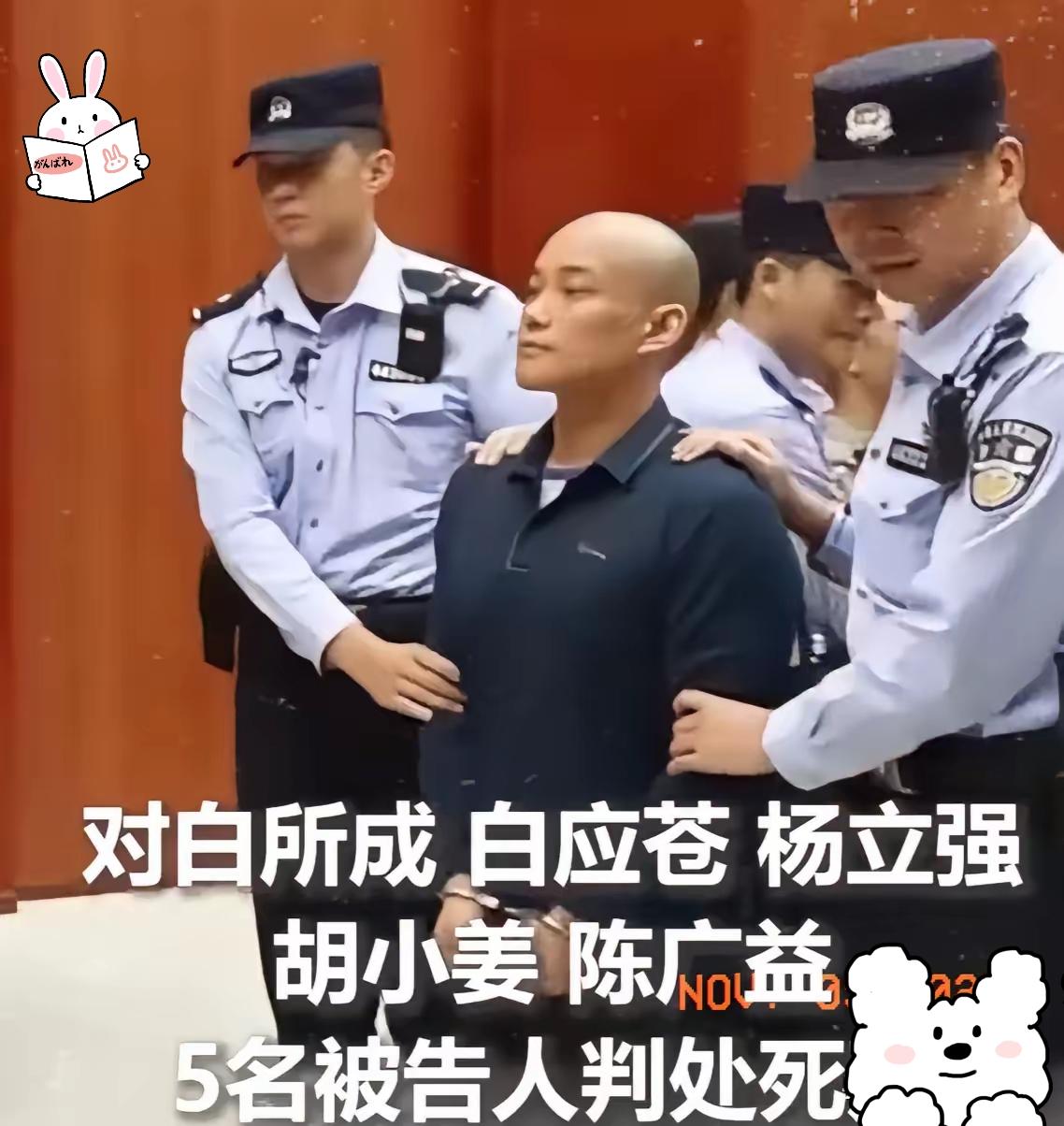 ​依旧是昂首挺胸，毫无悔意，
​面部表情也没有任何变化，仿佛法律对他并没有什么威