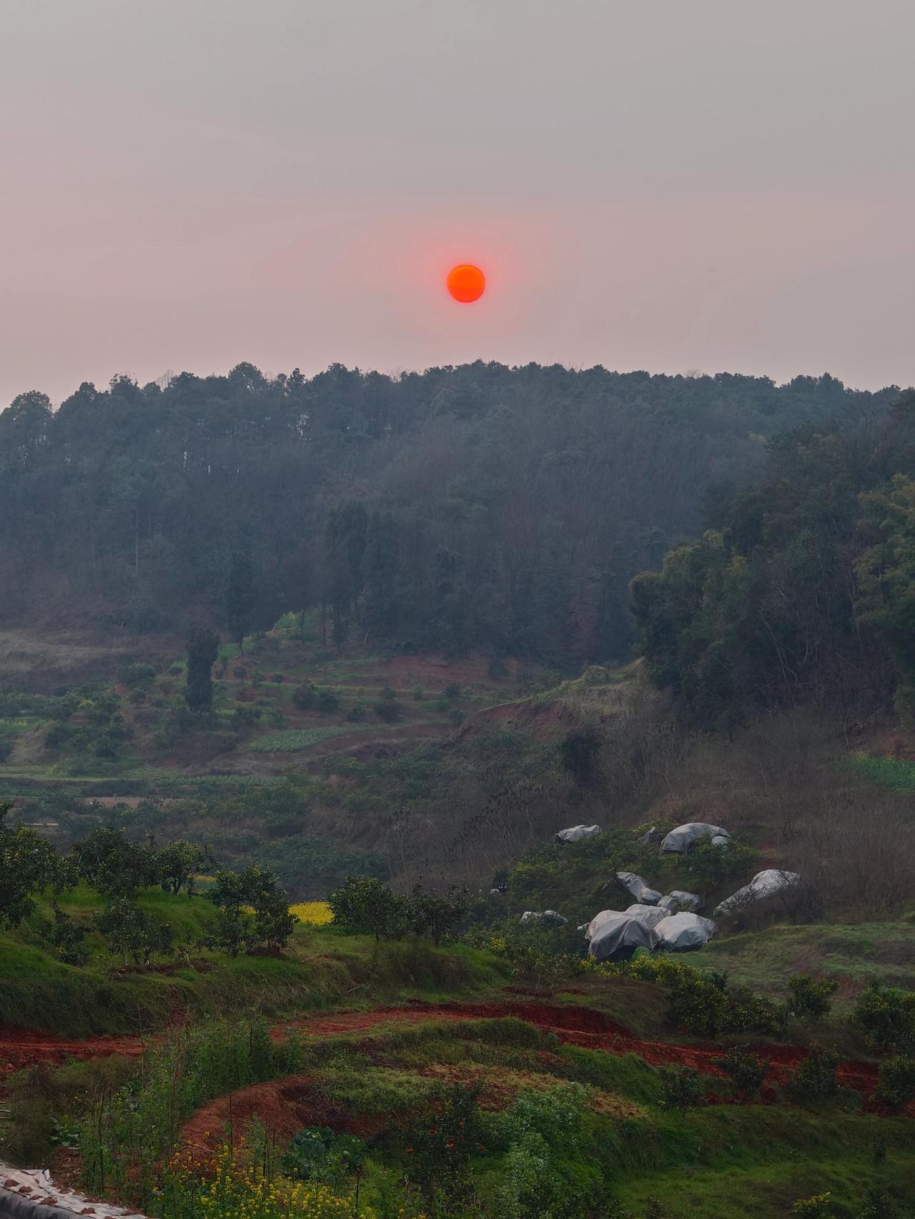 这就是老家的牵挂。
