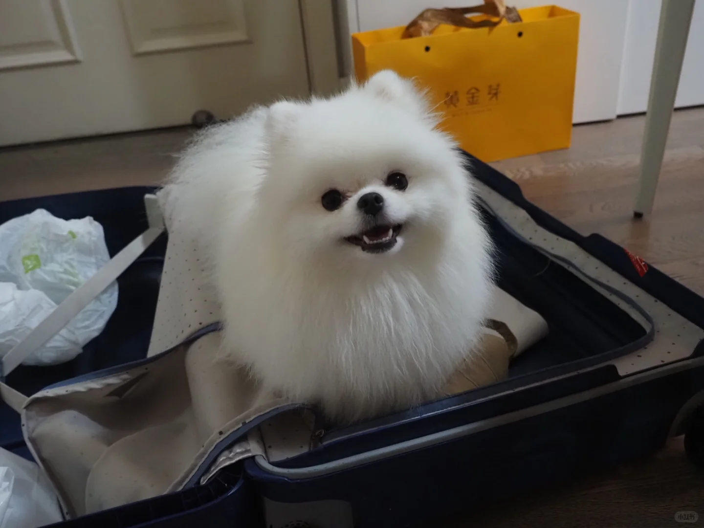 坐在箱子里就可以不分开了