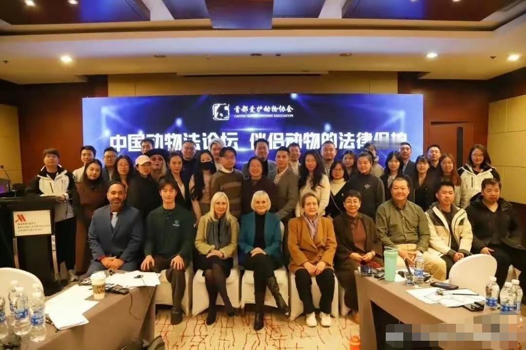 这又是什么组织？伴侣动物的法律保障？是专门讨论如何保护小猫小狗的吗？国内的孤寡老
