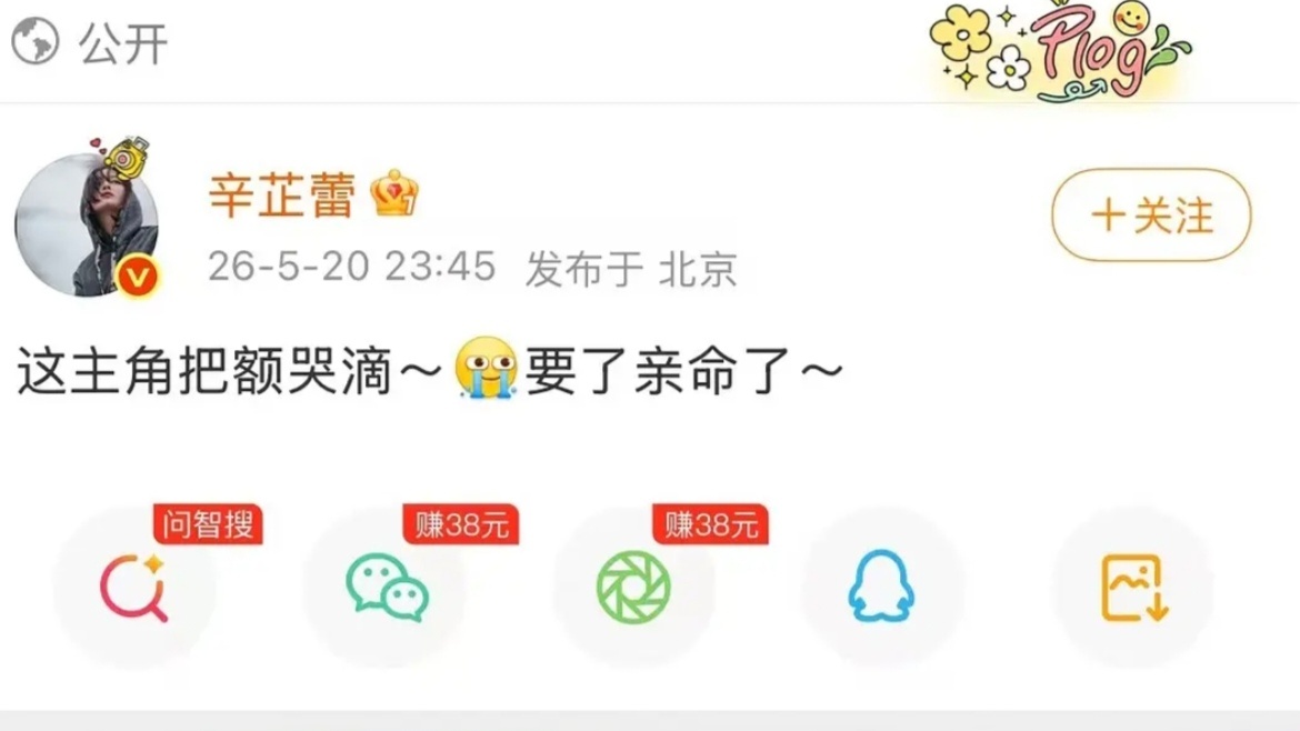 看来主角这部剧确实好看，连辛芷蕾都哭疯了啊！ 