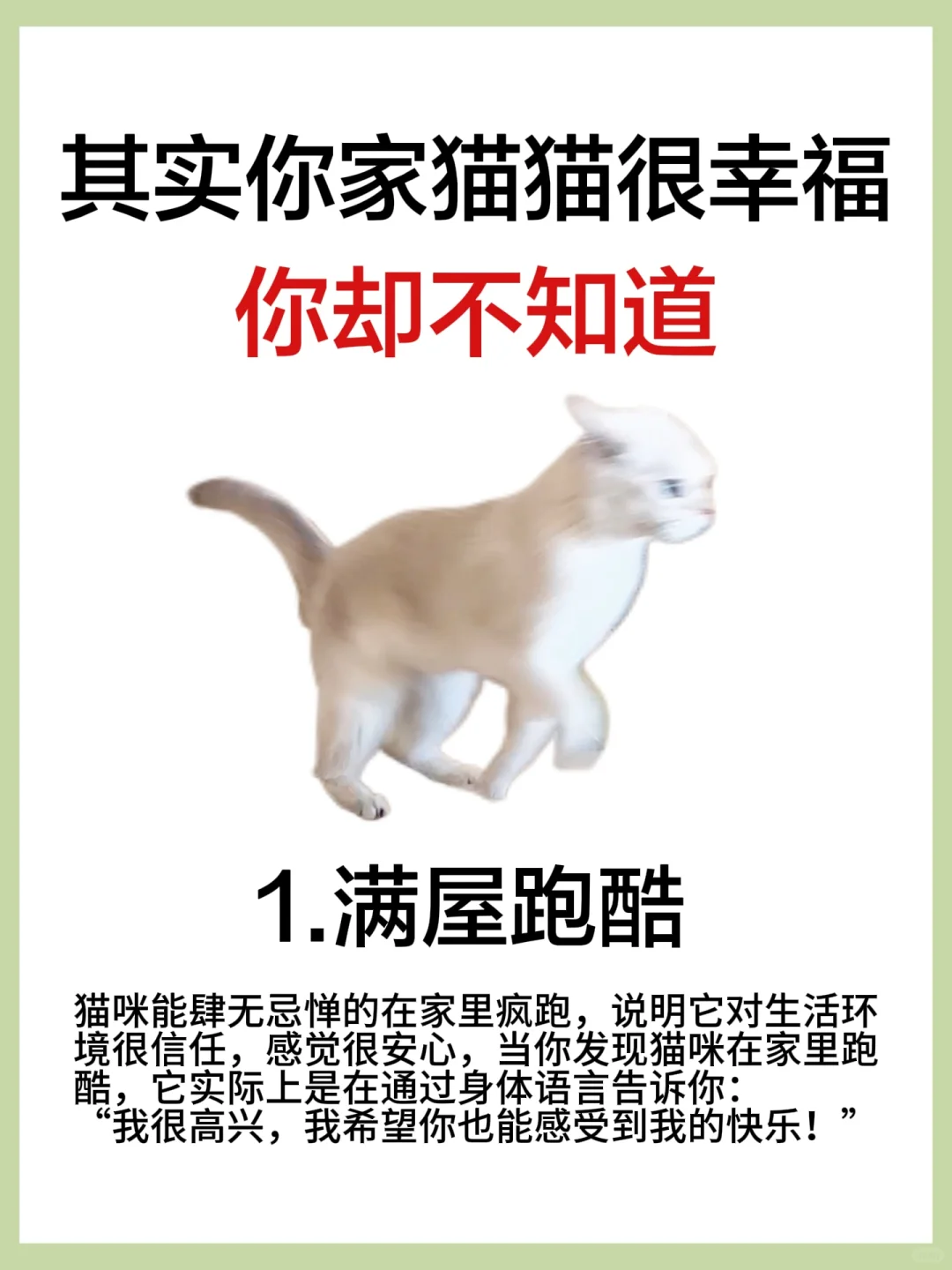 猫咪很幸福的8个表现，看看你中了几条！