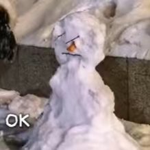 张泽禹给大家做个霉豆腐张泽禹堆有点抽象的小雪宝 哈尔滨野生宣传大使张泽禹上线！带