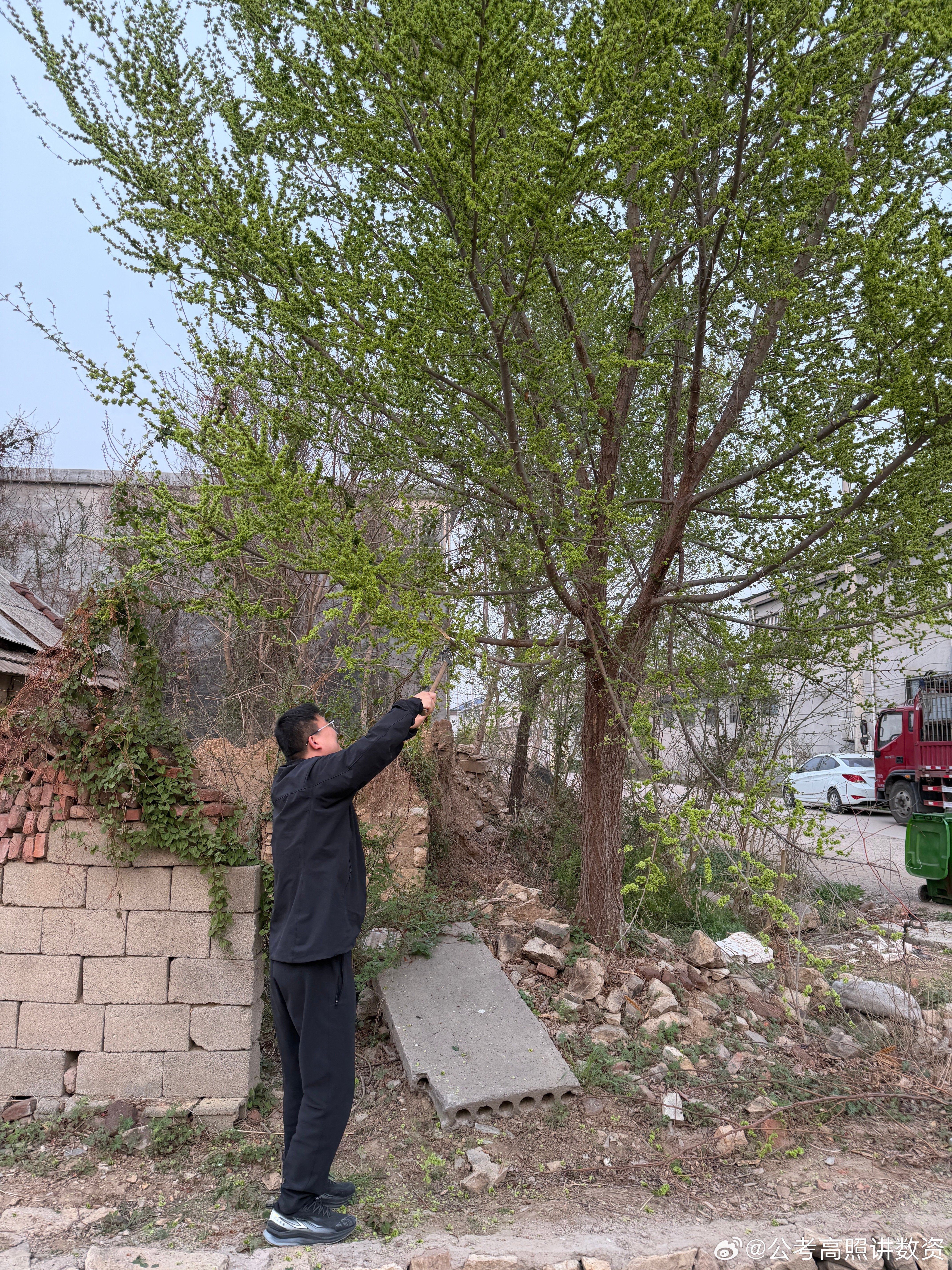 这是啥？这是啥？有吃过的小伙伴吗？ 