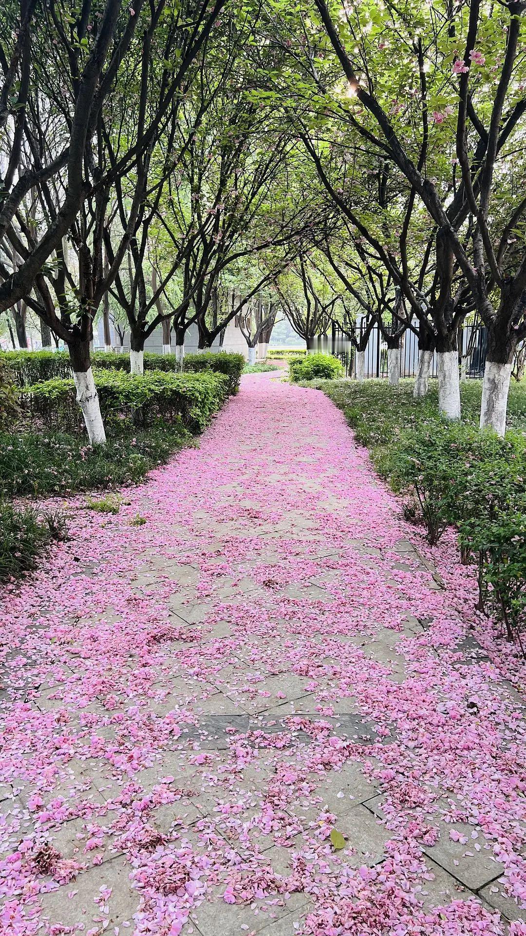 爷爷告诉我，一定要记住的“人情世故”：

1、还车时，车洗净，油加满。

2、不