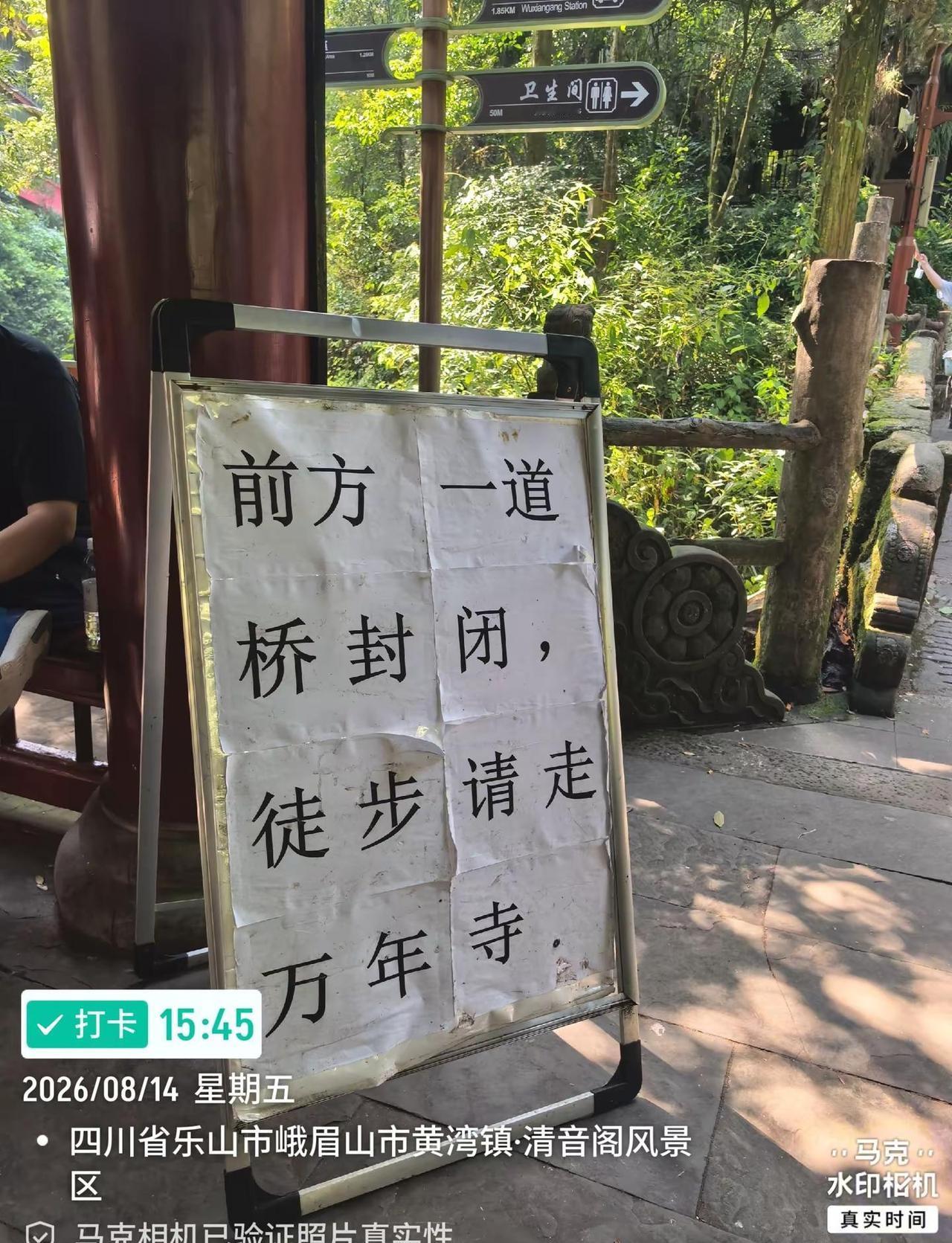 最新！峨眉山徒步路线。清音阁现场实拍❗峨眉山 峨眉山徒步