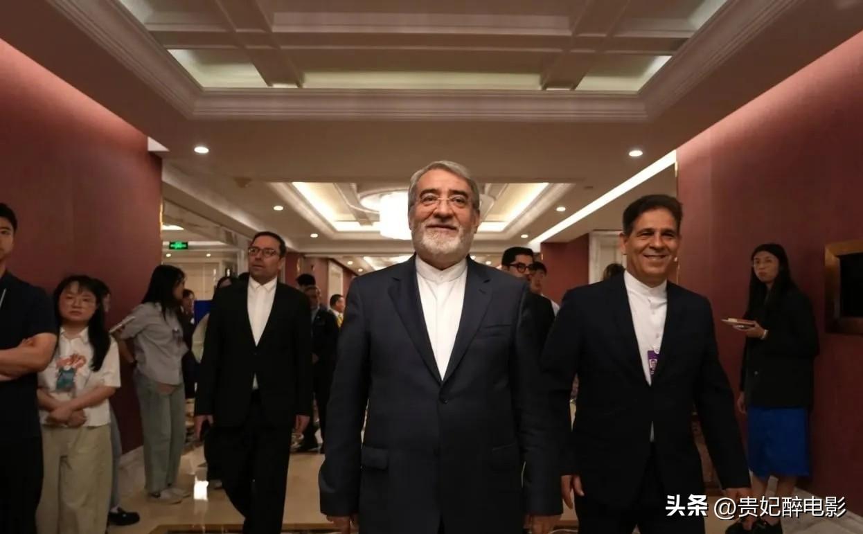 成了，伊朗答应中国了。

7月4号，伊朗驻华大使法兹利透了个信儿，说德黑兰往后定
