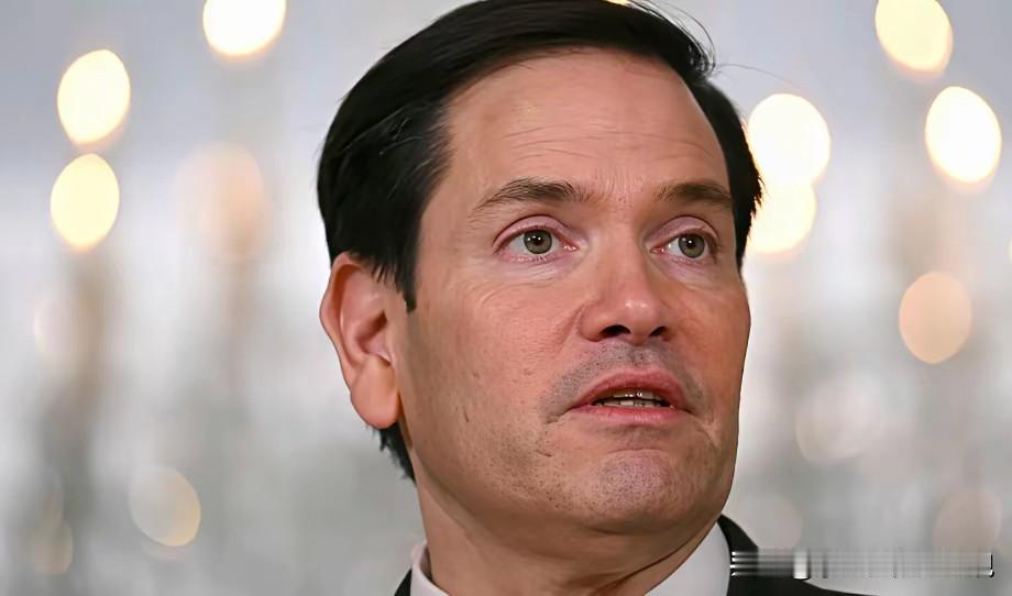 美国国务卿鲁比奥在慕尼黑安全会议上称，美国是欧洲的“”孩子”，两大洲的命运彼此交