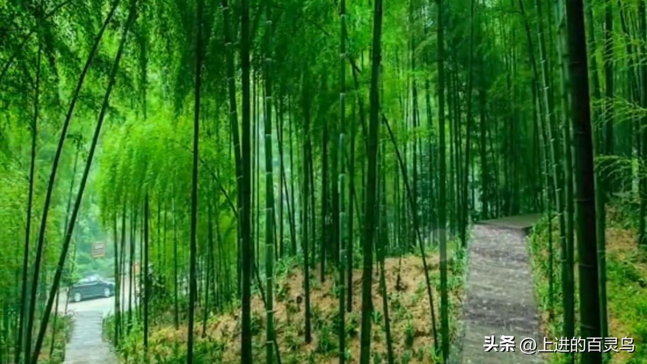 理清证人出庭客观事实，勿被办事员片面说辞误导（原创：股茂[赞][赞]）
早上看到