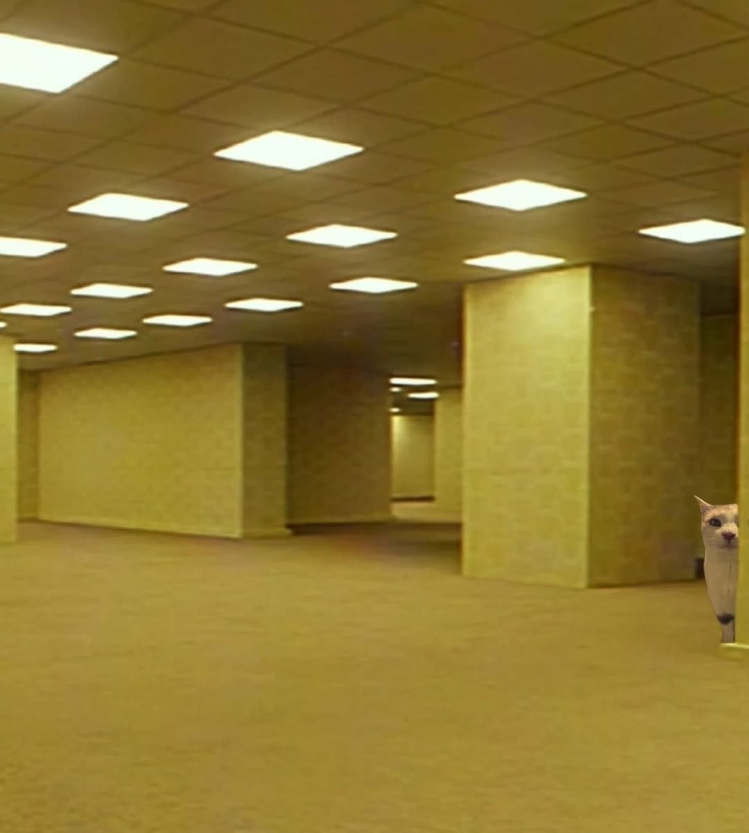 cat_core