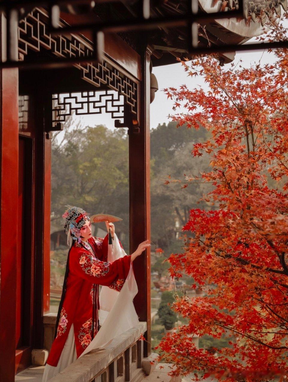 最美「牡丹亭」🍁 