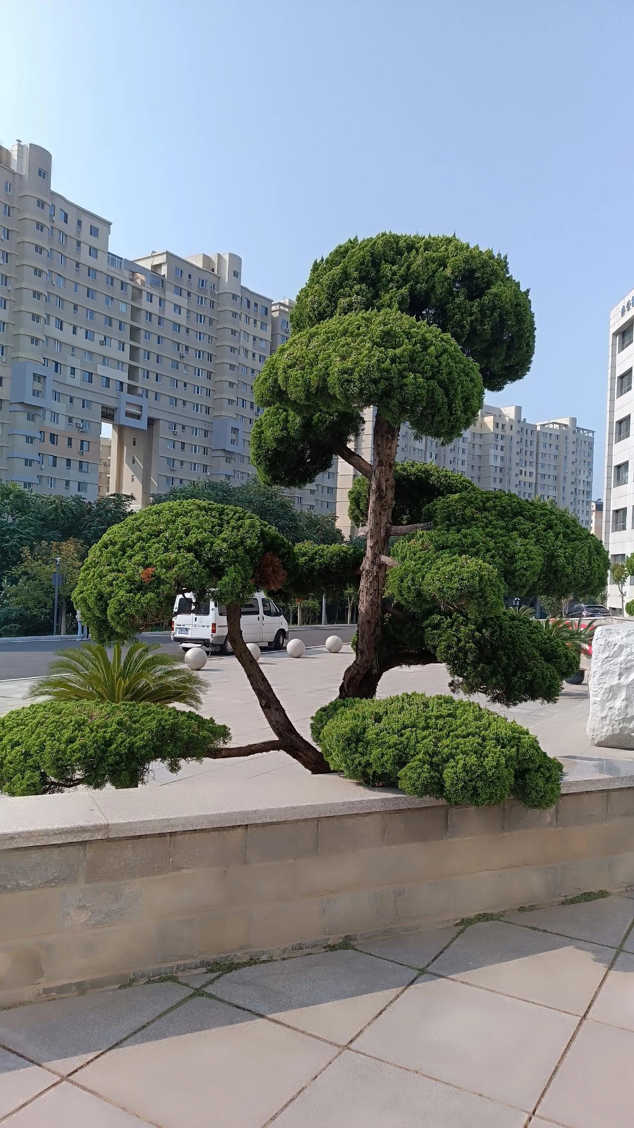 赵丽颖拿下飞天视后和陈梦奥运会夺冠都遭到了质疑，被炒的热度持续不下。有什么可质疑