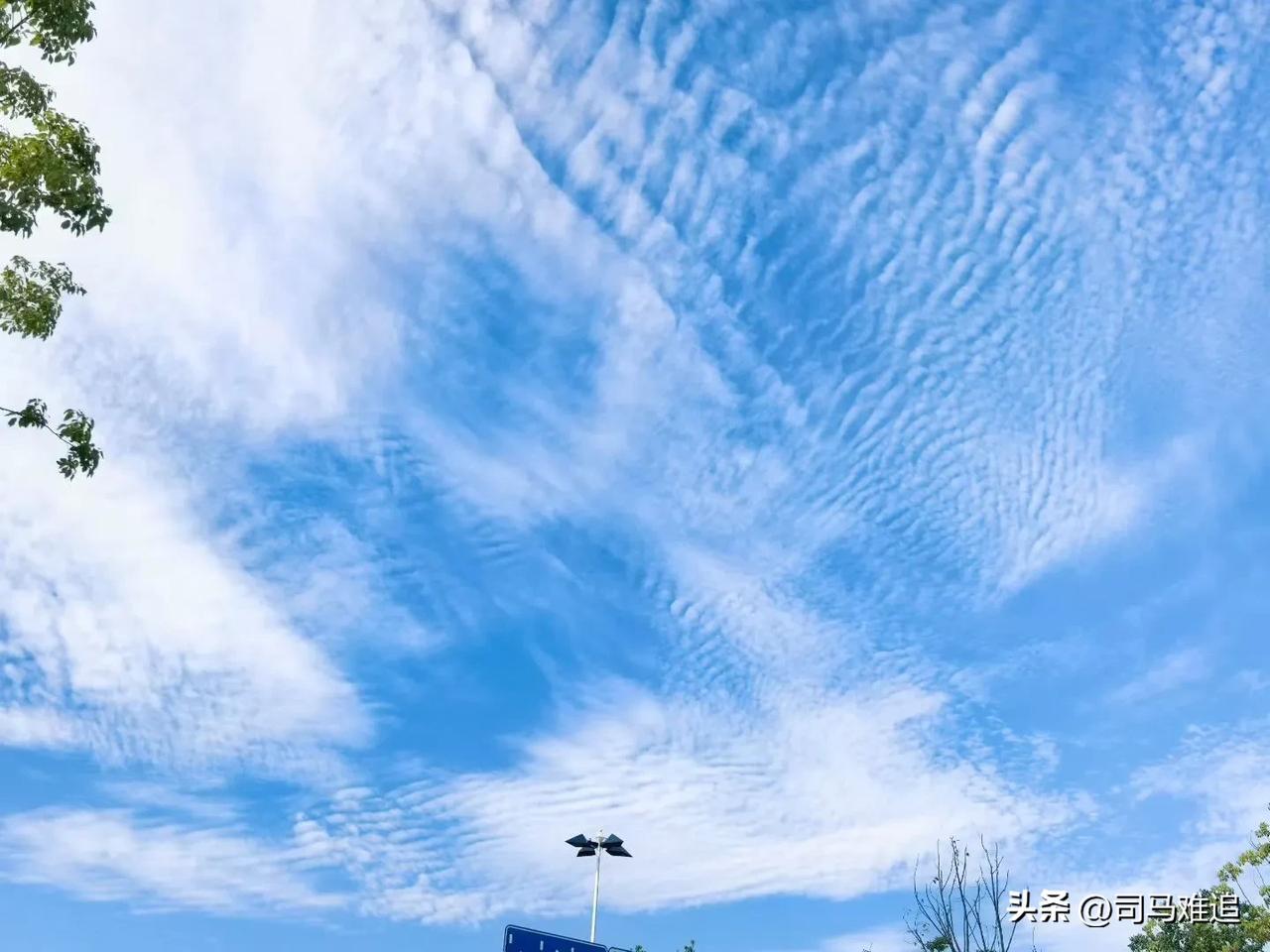 随手拍一张云的图这张不错
