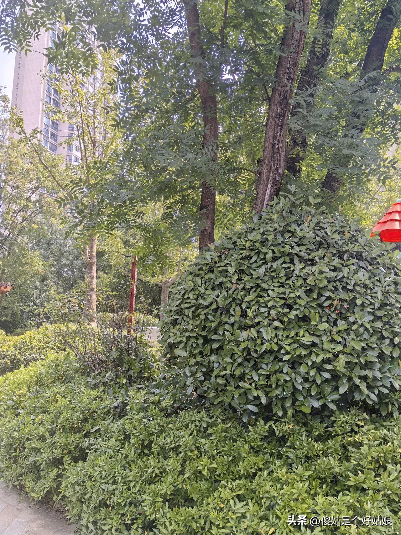 董事长和人事经理都答应了迅速发放我的剩余工资，我兴冲冲地把截图发给会计，会计也说