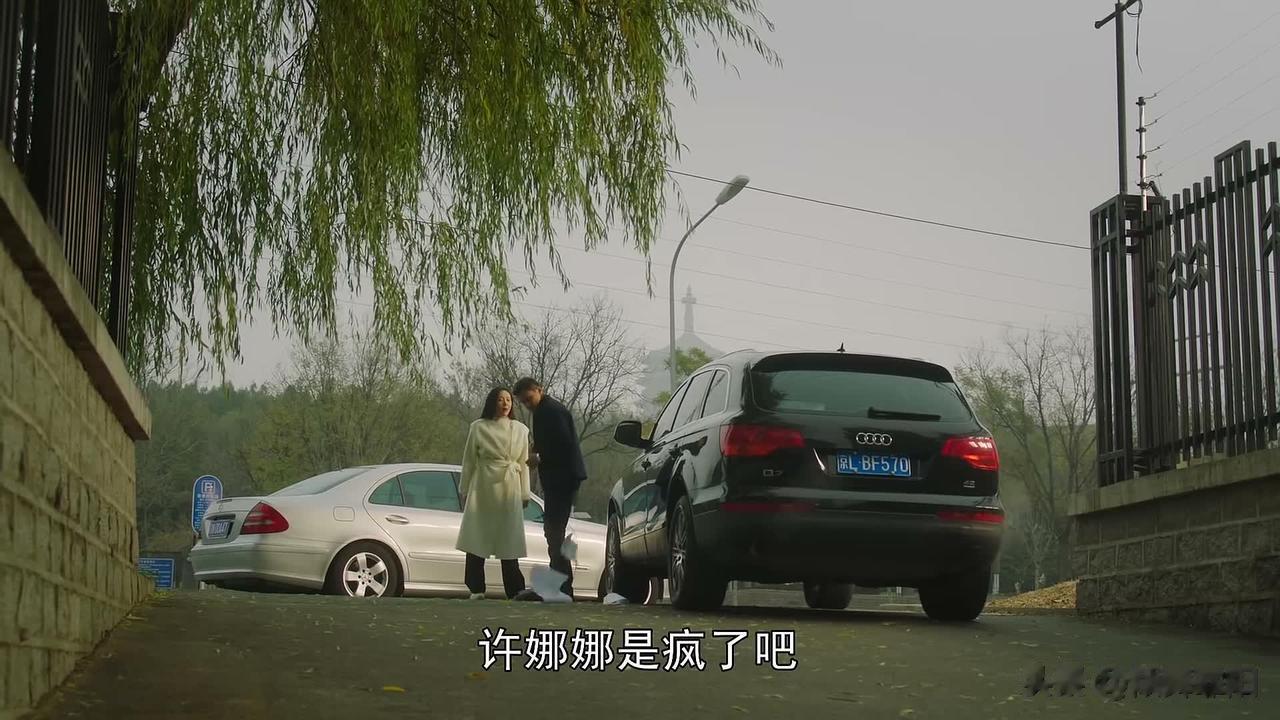《一路朝阳》像吴剑秋这样强势、霸道的女人，到底哪里好？？...

吴剑秋带着儿子