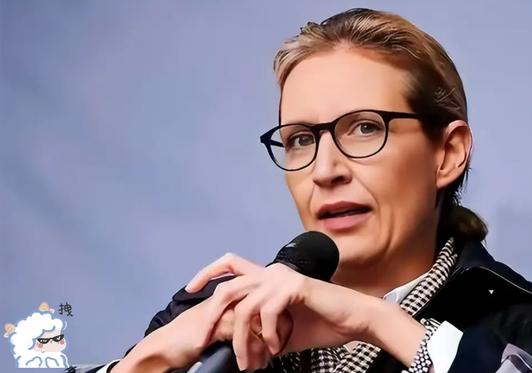 德国选择党主席魏德尔直言不讳地表示：“我认为，鉴于中国曾经历过百年屈辱，如今这个