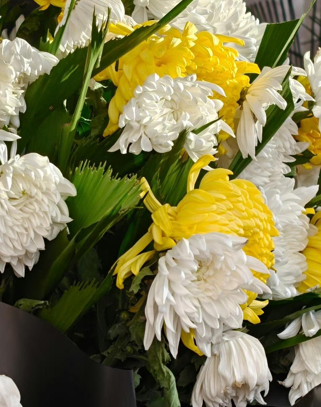 真事儿！亲眼所见的场面，越想越扎心
 
村里三十出头的李姐，前几天还在街上跟人说