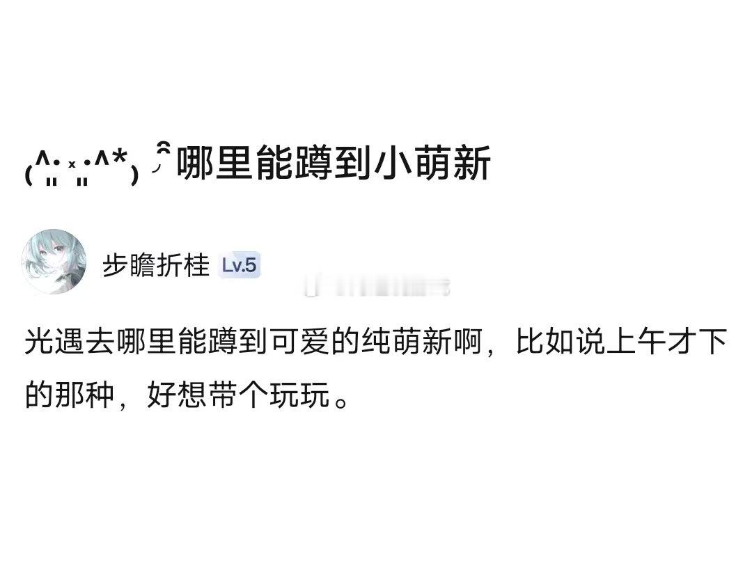 光遇在哪里能蹲到小萌新？ 