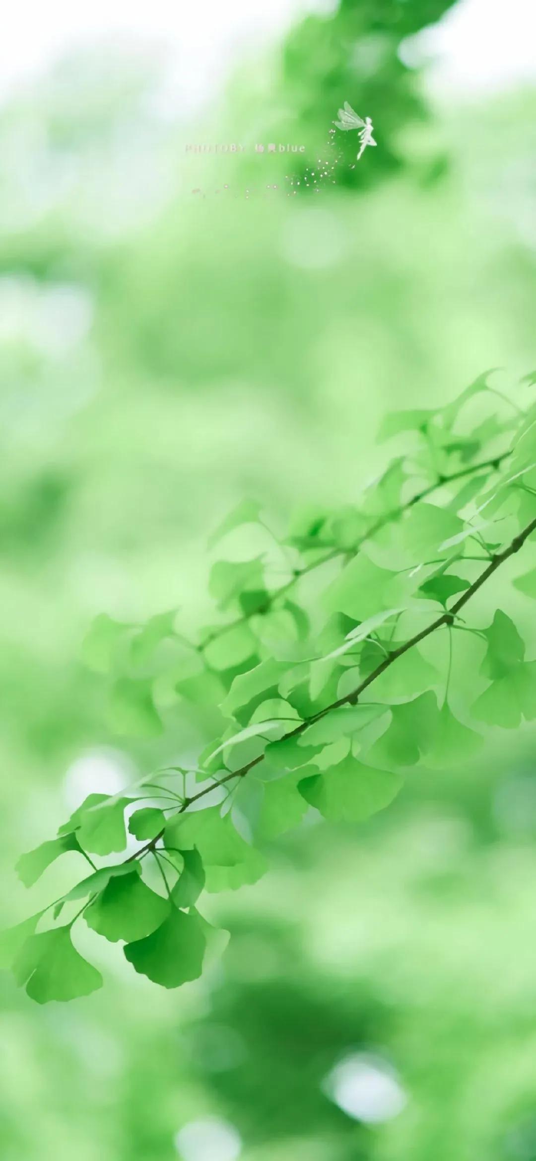 外求叫为学，内求叫为道。人起心动念后，是靠身体的器官来感受这世界，然后主观意识判