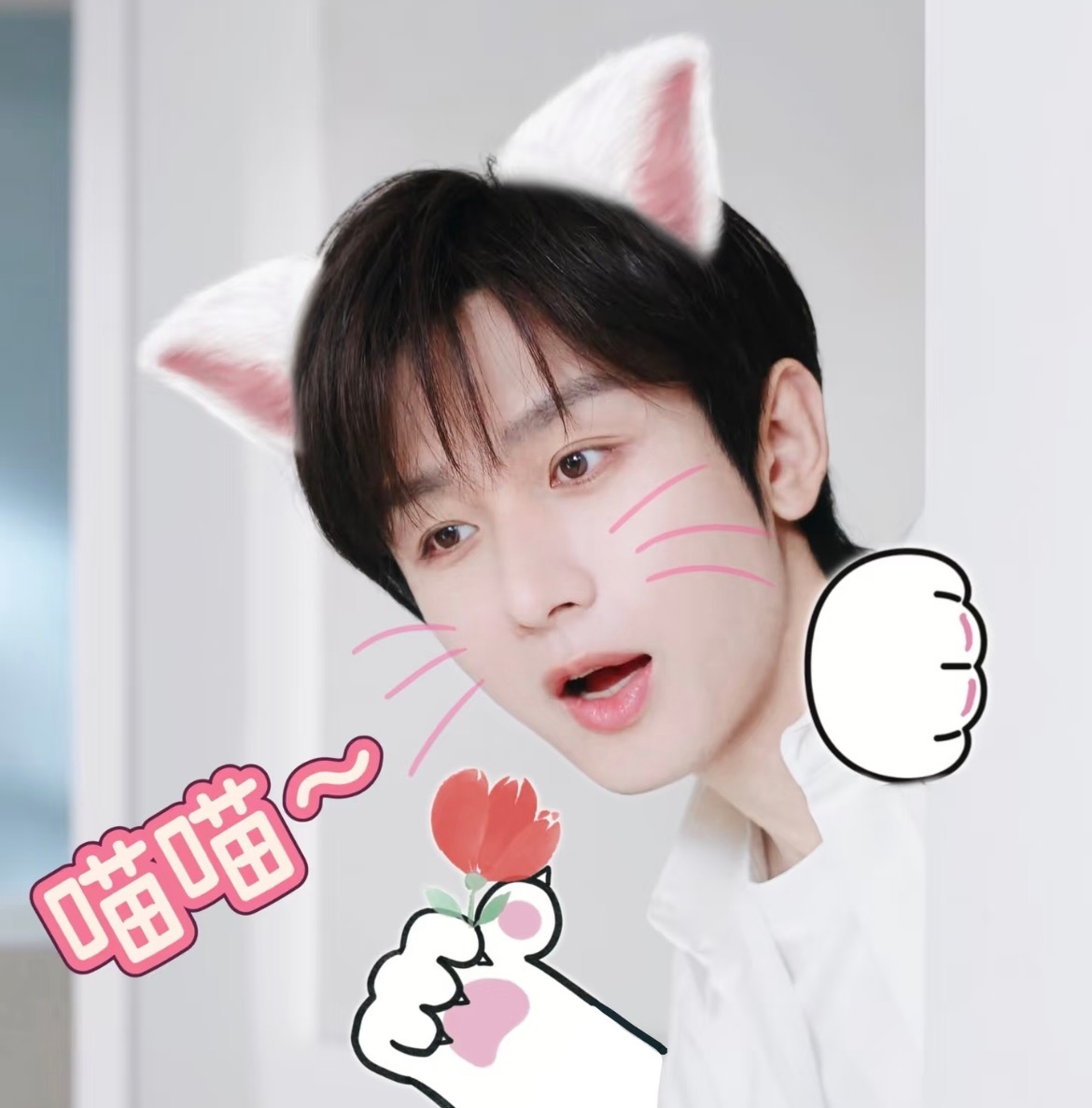 小咪叫咪咪“喵喵～”