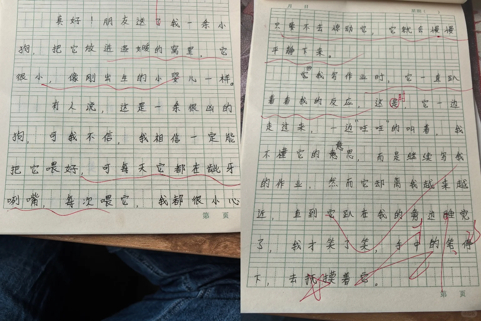 《珍珠鸟》课后小练笔！！