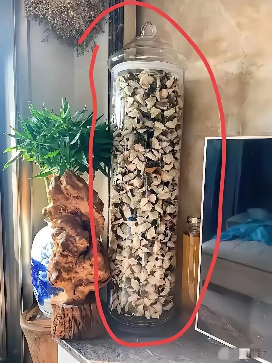 这是我朋友家客厅摆放的陈皮，听我朋友说，这个值几百万？
我是真不懂这种，就是橘子