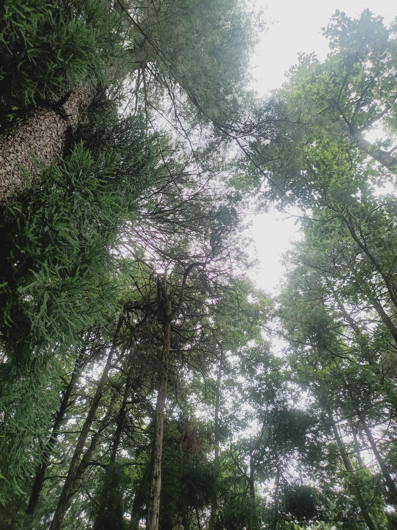 今日苍山
大理的云对当地气候有何影响
