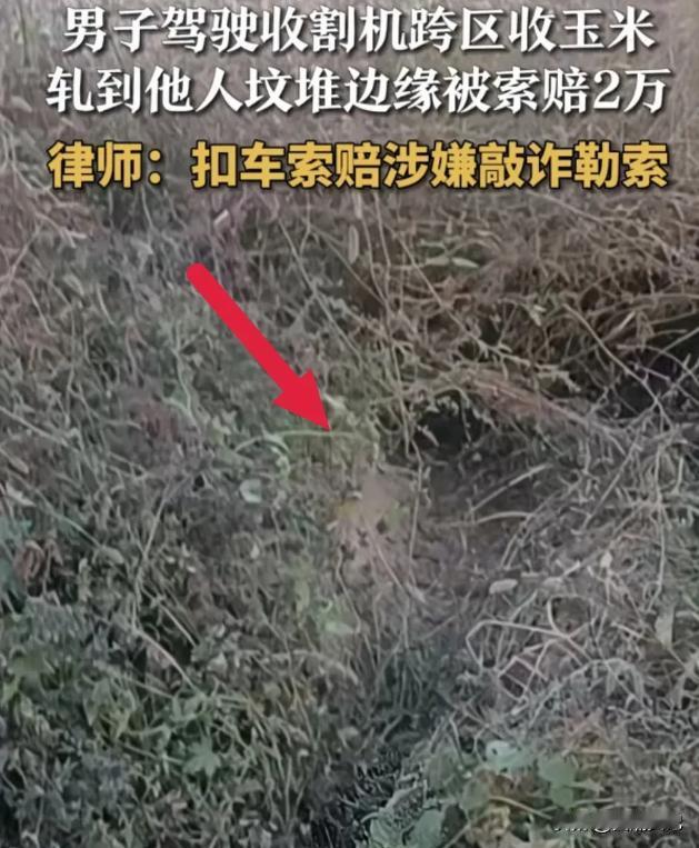 “又被讹成功了！”河北霸州，男子开收割机收玉米，倒车时，不小心将一坟地轧了一个边