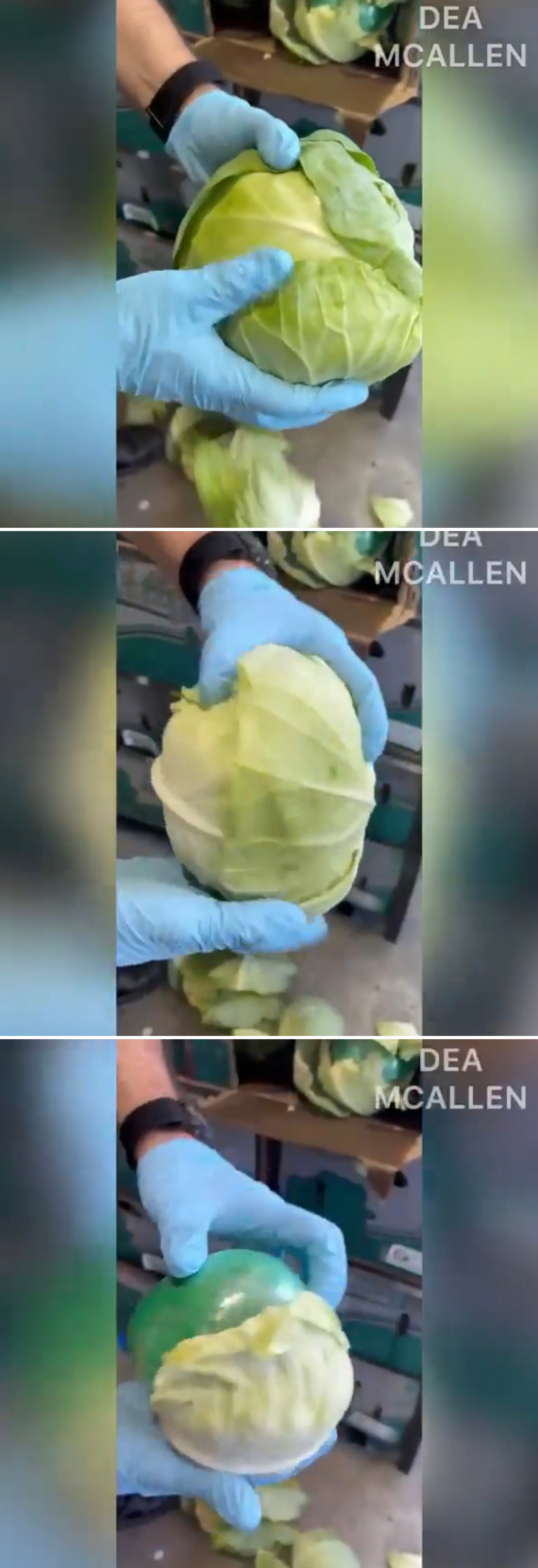 又一个农产品藏毒案！¹ 美国缉毒局休斯顿分局，刚刚在一卡车卷心菜里截获1800多