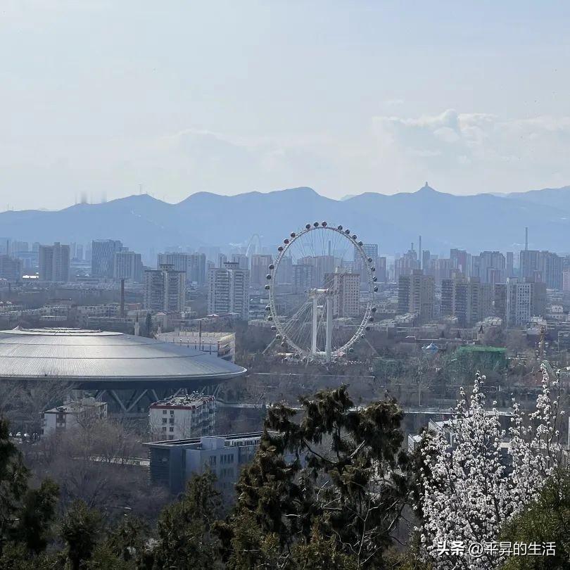 晒出你的本地生活藏在石景山的春日秘境，老山城市休闲公园。无需远行，便有山林花海，