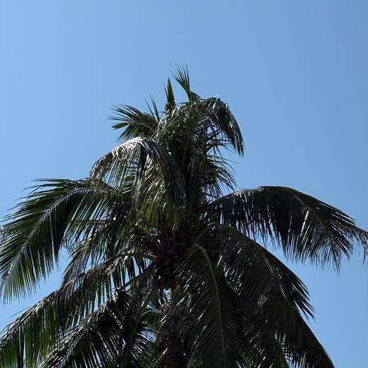 今晚   辽宁：党纪政务处分3人
 
12月19日21:40，辽宁：党纪政务处分