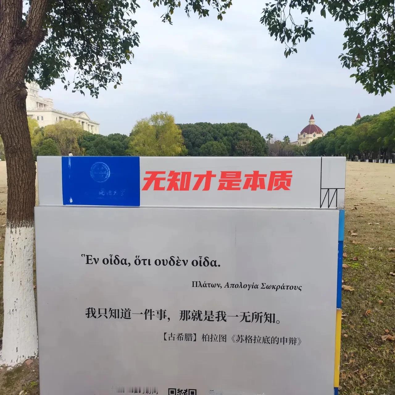 我不愿在