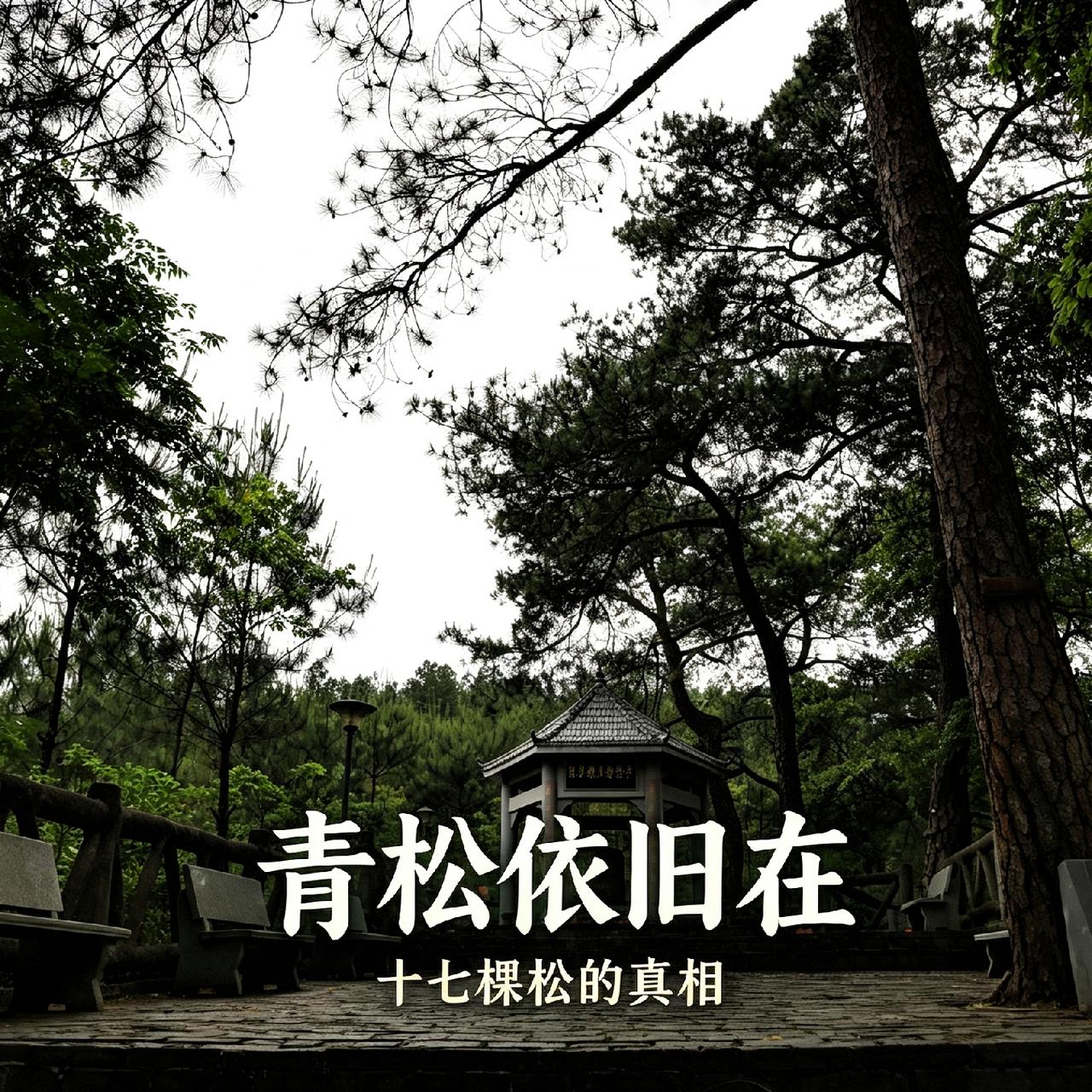 你见过17棵松树，藏着17个年轻人一辈子的约定吗？当年这17个小伙子出门当红军，