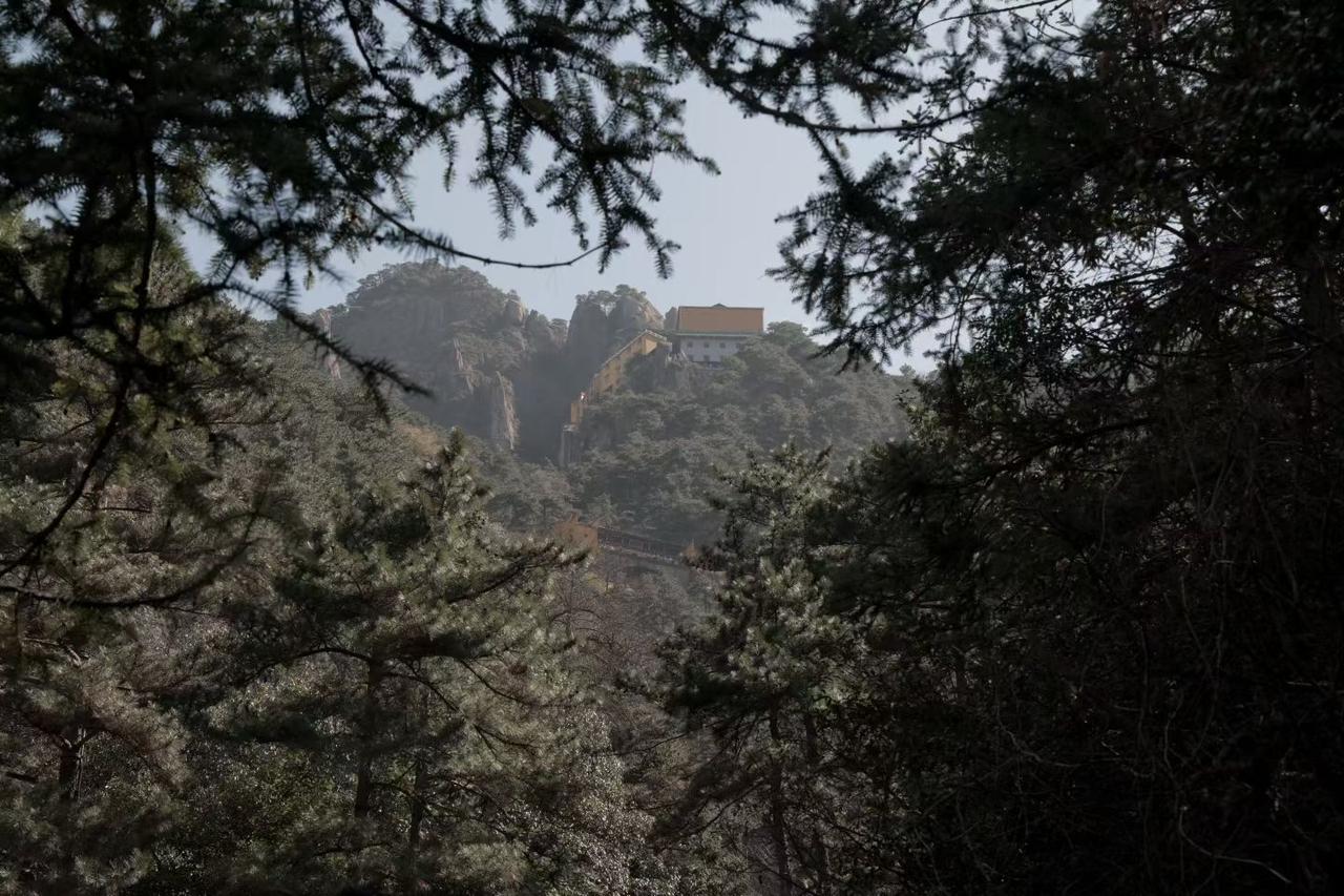 天南地北大拜年