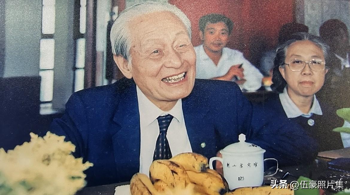 1990年9月29日，83岁高龄的赵朴初先生（时任全国政协副主席、中国佛教协会会