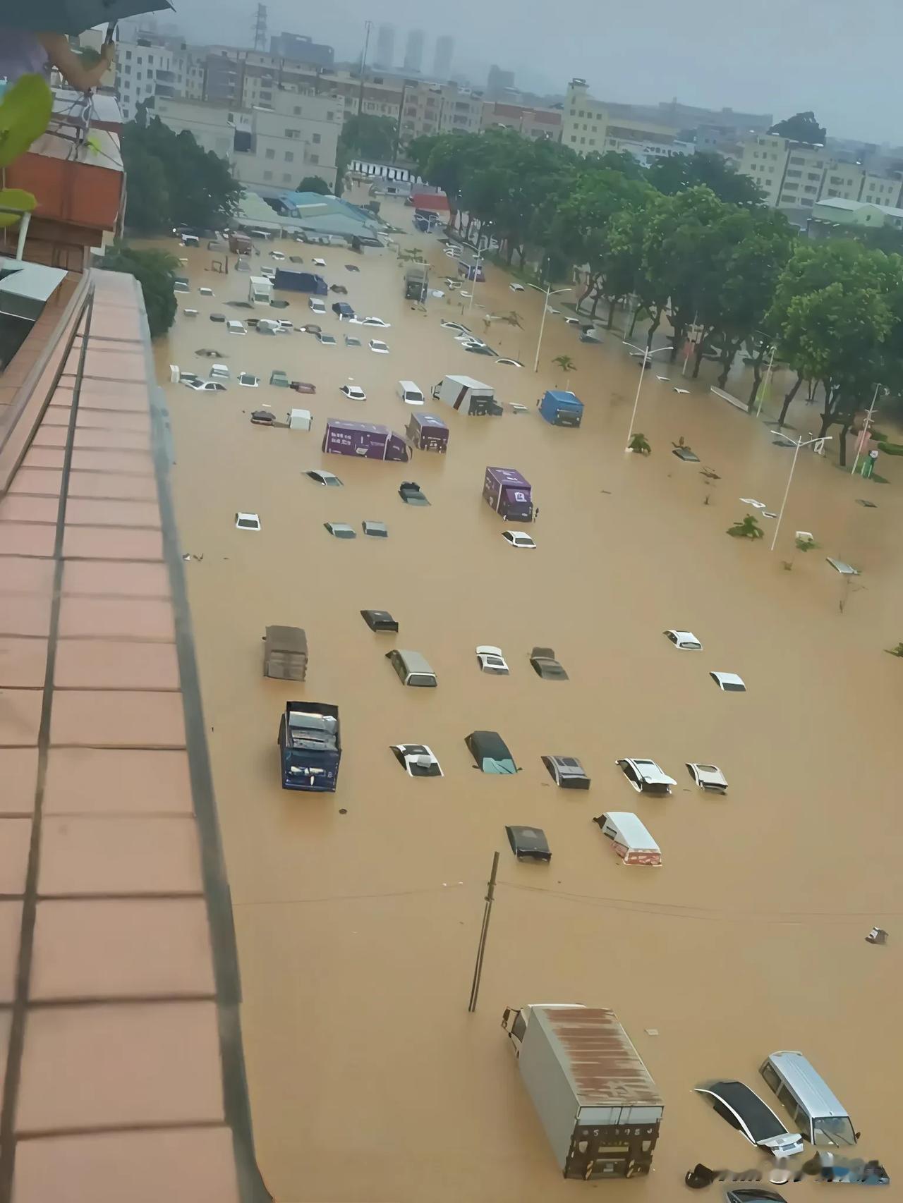 广东连续下了几天暴雨，大街小巷商铺与停车场淹水了，一望无际的泡水车来不及开走进水