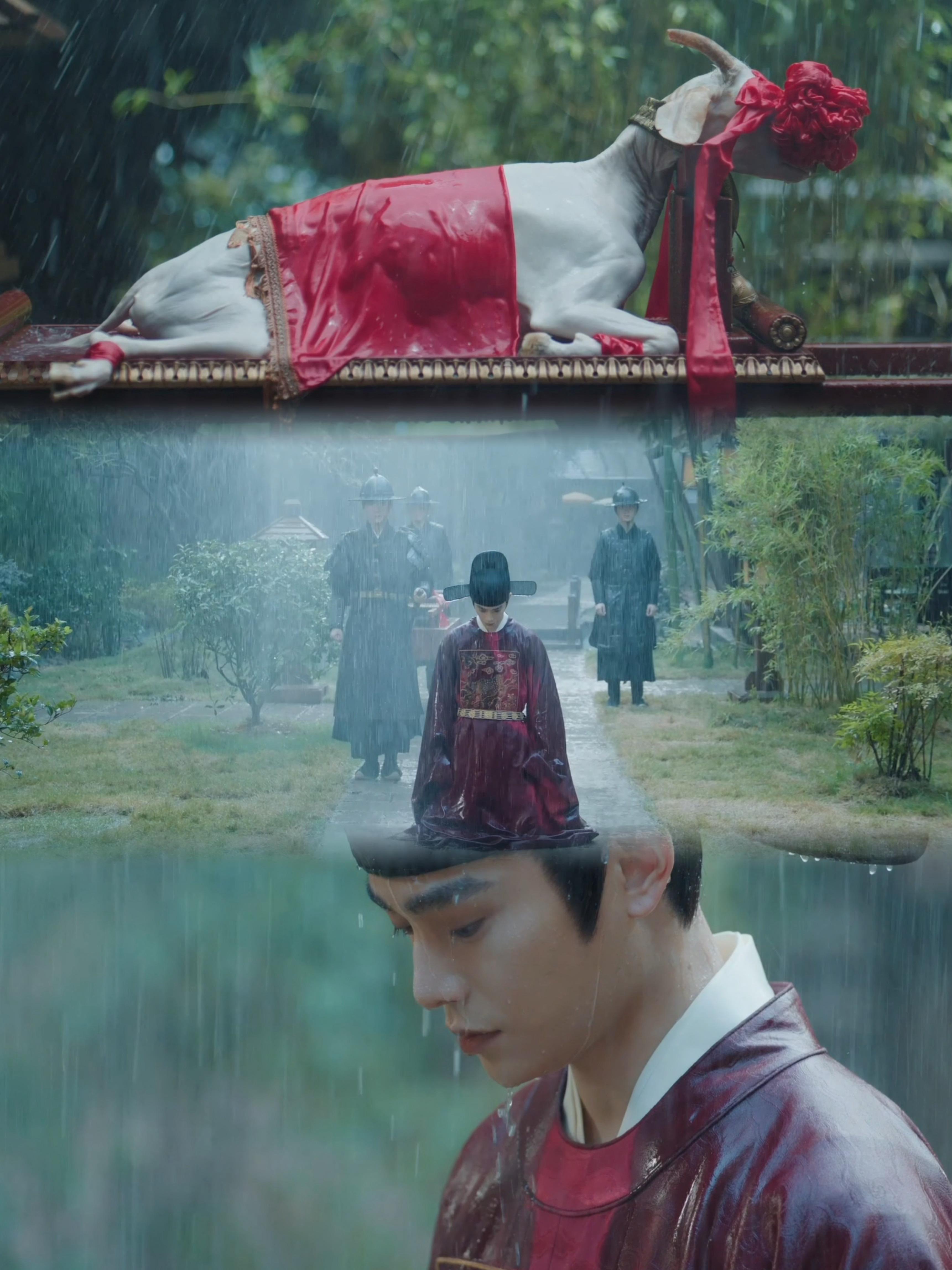 赵凌雨中下跪求娶傅庭芸 谁说古代权谋剧没有动人爱情，赵凌雨中下跪这段狠狠打脸，手
