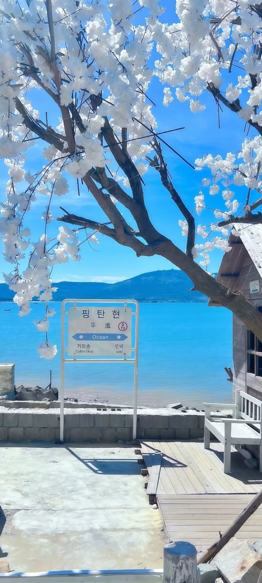 高级感手机壁纸推荐””\(￣ー￣) (￣ー￣)//””壁纸手机壁纸