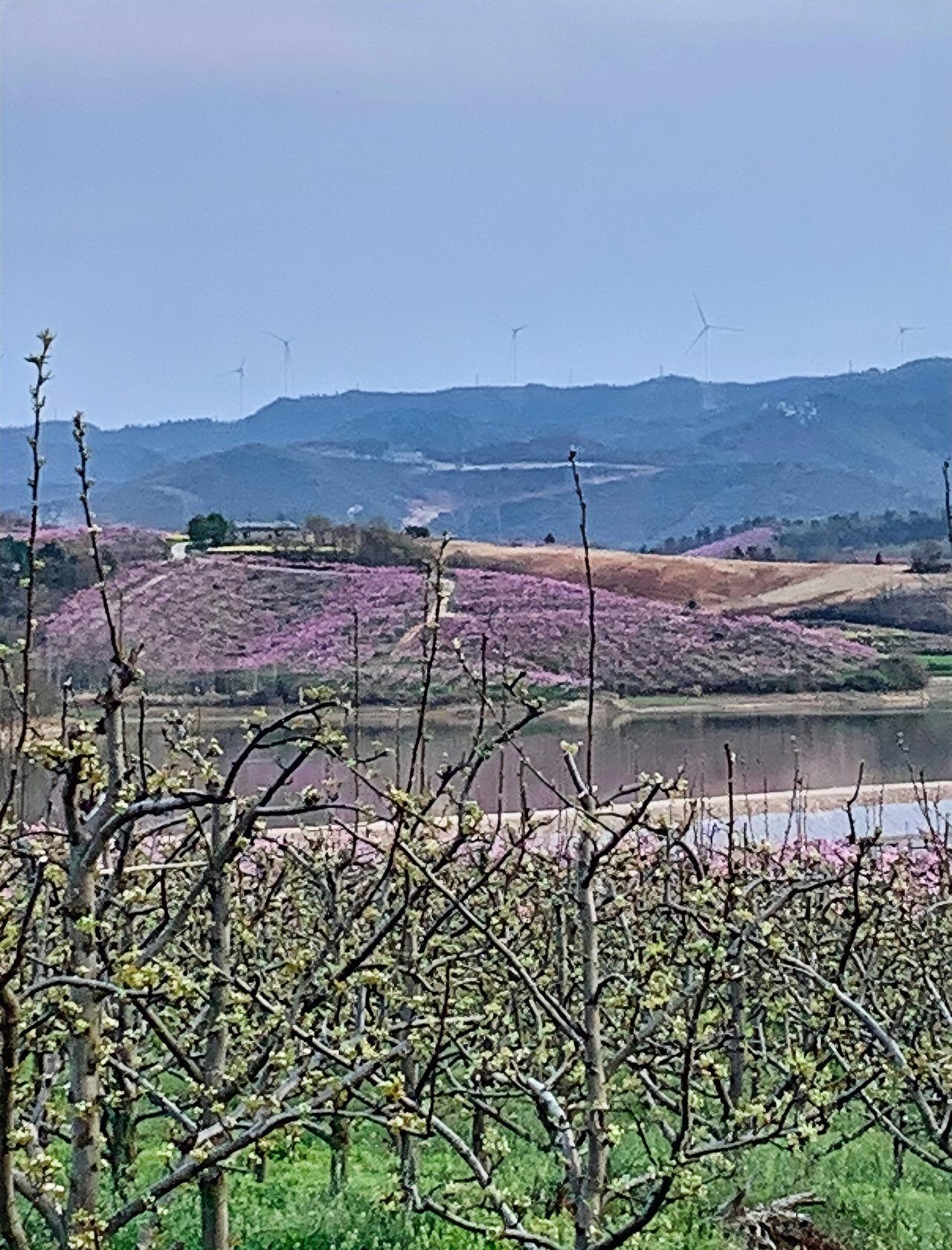 上大一的侄女，在电话里跟我吐槽：
如果不是每个月还要接收她妈的生活费转账，真想直