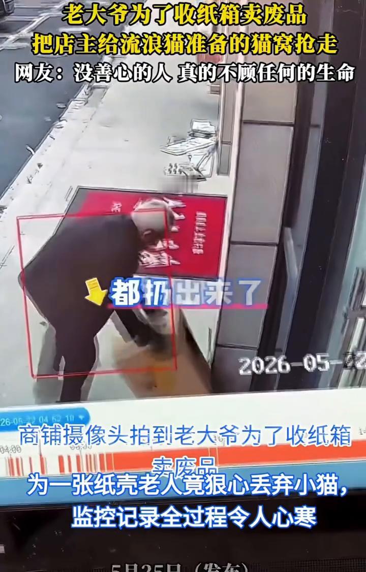 老大爷为了收纸箱卖废品，把店主给流浪猫准备的猫窝抢走。
网友：没善心的人真的不顾