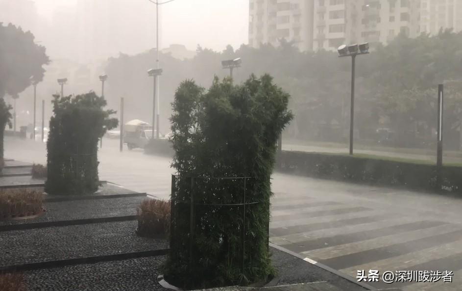 暴雨中，打了几个预约电话。雨一停，我就直奔深圳福田而去，想到一天很快就过去了，当