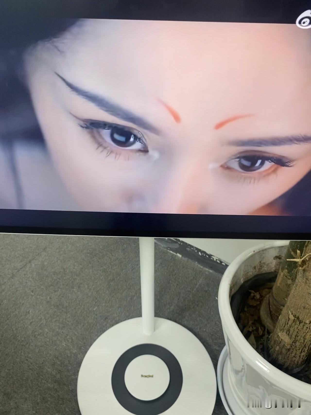 原来6000元就能买到我的快乐

年前听定居加拿大的表姐说最近那边流行闺蜜机，能